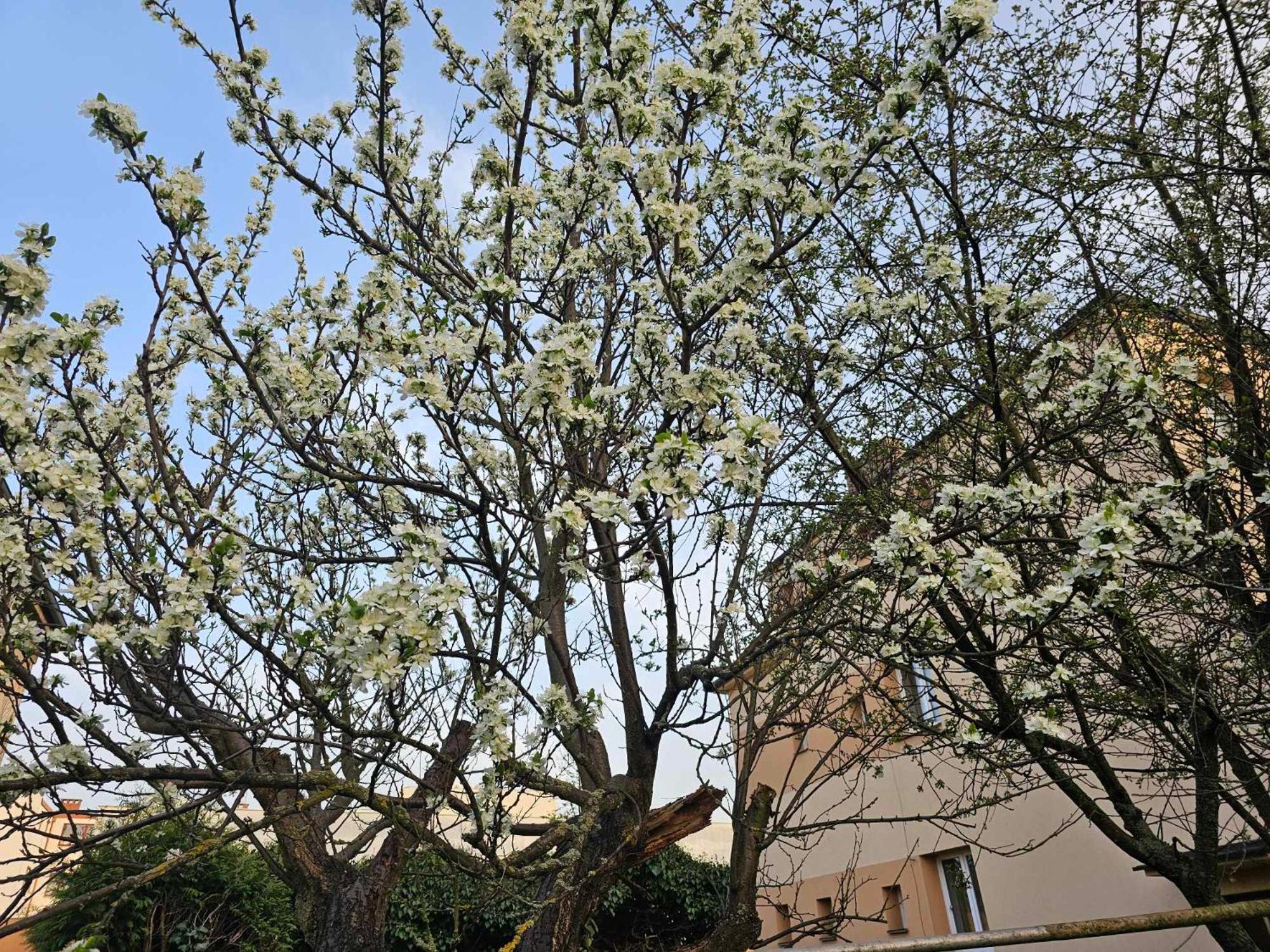 Slunny Byt V Klidne Casti Hradce Kralove - Zahrada, Parkovani Zdarma Hradec Králové Buitenkant foto